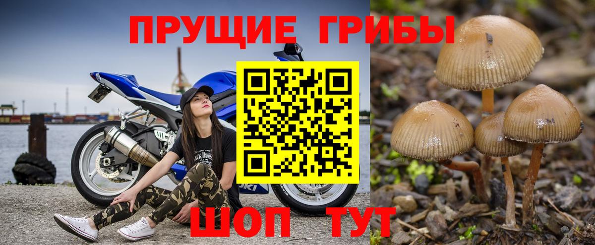 Галлюциногенные грибы мухоморы  Вход с VPN  Кашира 
